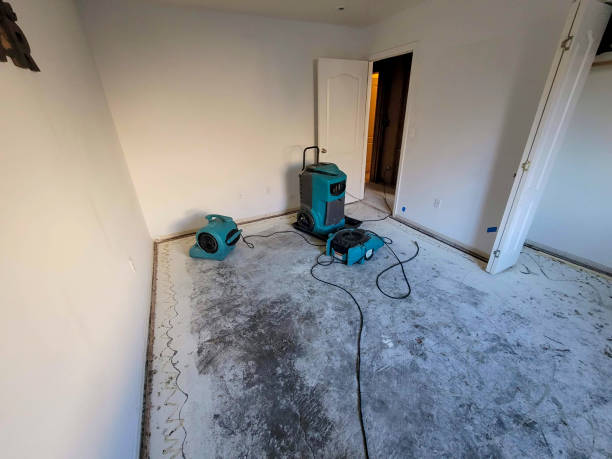 Best Water damage restoration near me  in Oceanport, NJ