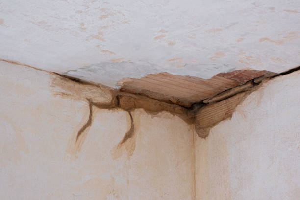 Best Local water damage restoration  in Oceanport, NJ