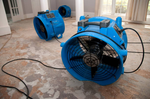Water damage restoration experts in NJ