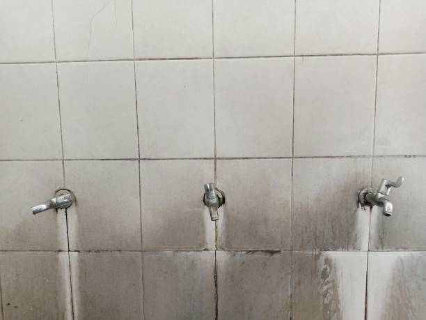 Best Ceiling water damage repair  in Oceanport, NJ