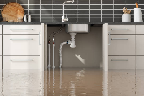 Best Residential water damage restoration  in Oceanport, NJ