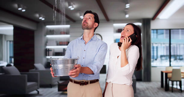 Best Water damage cleanup near me  in Oceanport, NJ